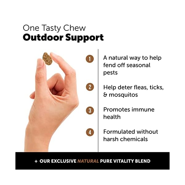 Pet-Honesty-Flea-Tick-Support-Supplement-Flea-and-Tick-Soft-Chew-for-Dogs-No-Harsh-Chemicals-Natural-Way-to-Enjoy-The-Outdoors-Hickory-Bacon-90-Count Pet-Honesty-Flea-Tick-Support-Supplement-Flea-and-Tick-Soft-Chew-for-Dogs-No-Harsh-Chemicals-Natural-Way-to-Enjoy-The-Outdoors-Hickory-Bacon-90-Count