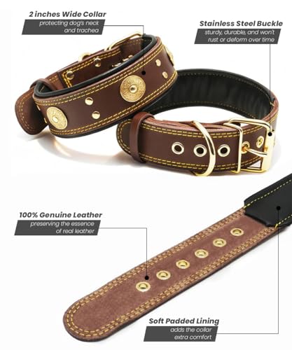 Hundehalsband Leder, 5 cm Breites Robustes Echtes Lederhalsband, Handgefertigt, Weich und Luxuriös, Auffällige Beste Wahl für Große und Mittelgroße Hunderassen, Gold-Braun M