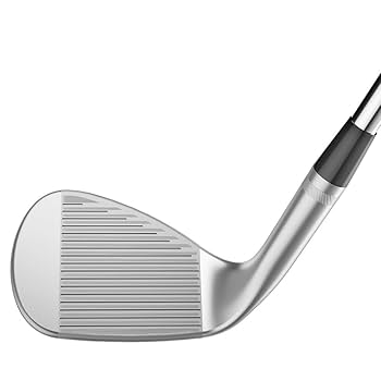 Amazon | タイトリスト(TITLEIST) Wedge Vokey SM10ツアー