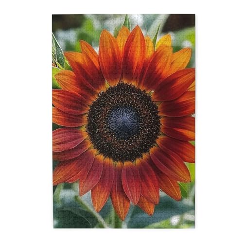 zтԂq} ؐpY mpY 1000s[X yQ[ ]`W m猸 q l  Ǌ| a 75×50cm