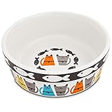 Petco Brand - Harmony Tough Guys Ceramic Cat Bowl, 1.75' H X 5' Diameter, 1 Cup, X-Small, Multi-Color