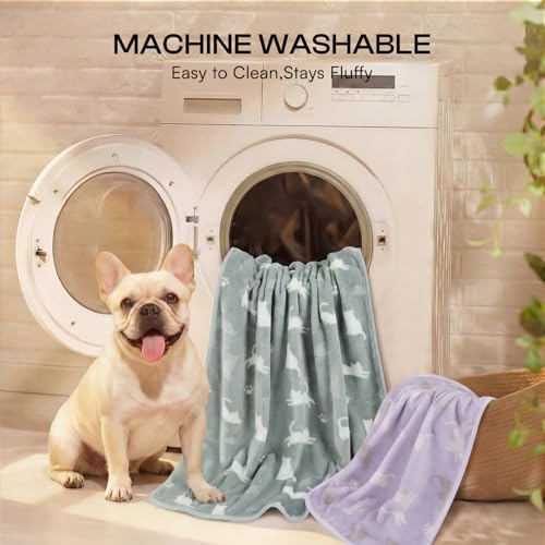 Image of Luciphia 1 Pack 3 Cat Printed Fleece Pet Blankets Washable,Soft Warm Throw Covers for Crate Couch Bed,Cozy Puppy Essentials for Dogs and Cats,Purple /Grey /Khaki, Small (23x16 inch)
