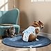 Straps Adjustable with Pet Panty, Dog Diaper Suspenders, Cartoon Blue Design, Cotton Sanitary Pants, Dogs Various for Suitable, Opening Back