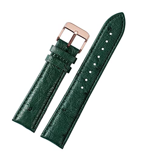 Bracelet en cuir de vache 16 mm vert pour montre homme avec boucle papillon