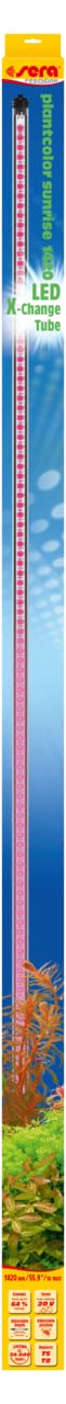sera LED X-Change Tube plantcolor Sunrise 1420 mm | Aquarium Lampe | Farbverstärkendes Pflanzenlicht 2.450 K | Aquarium Beleuchtung für optimales Pflanzenwachstum | Sonnenaufgang Lampe
