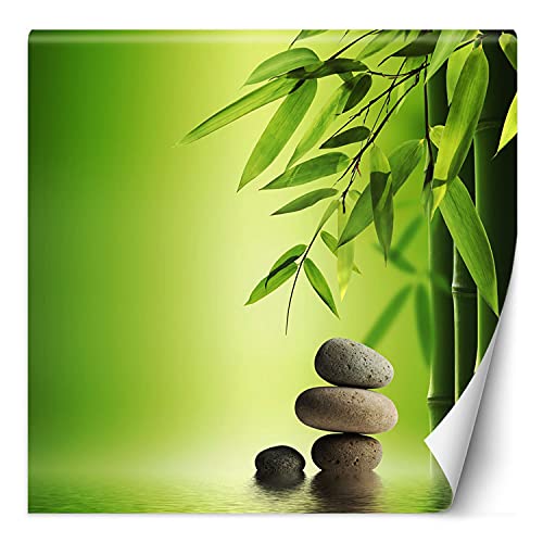 Feeby Papier Peint Intisse Bouddhisme Zen Méditation 200x200 cm vert Déco Murale Trompe L' Oeil Tapisserie Moderne Salon Chambrea' Coucherr Salle De Bain...