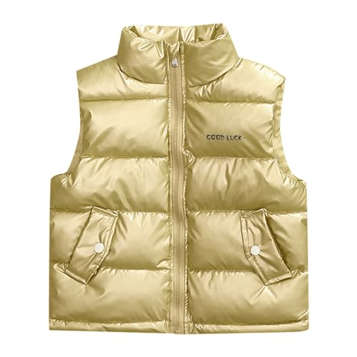 Kids Down Vest Girls Walls Coat Lightweight Warm Vest Sleeveless High Neck Button Casual Fall Winter Girls Jackets