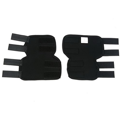 Zunea 2Stück Hund Hunde hinten Bein Hock Bandage Hinterbein schützt Wunden Wrap Kompression Klammer heilt für Wunde Verletzungen und Verstauchung Heilung von Arthritis Schwarz M
