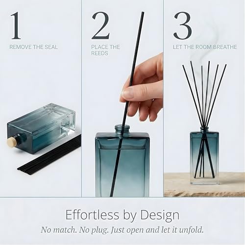 Reed Diffuser for Home Fragrance – Summer Sea Breeze Scent 100ml with Reed Sticks, Long Lasting Flameless Diffuser for Bathroom, Bedroom & Living Room Decor, Giftable Glass Bottle - Image 6