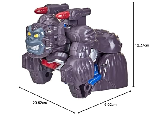 Tra Classic Heroes Team Optimus Primal - vue 5