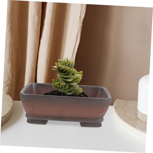 Jardinière décorative rectangulaire en terre cuite avec drainage - 6