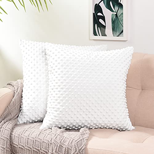 PHF Minky Dot Euro Sham 26 x 26 , 2 Pack Soft Cozy Velvet Euro Throw Pillow Covers, Holiday Home Decorative Square Pillowcase Cushion Cover for Couch Sofa Bed, White