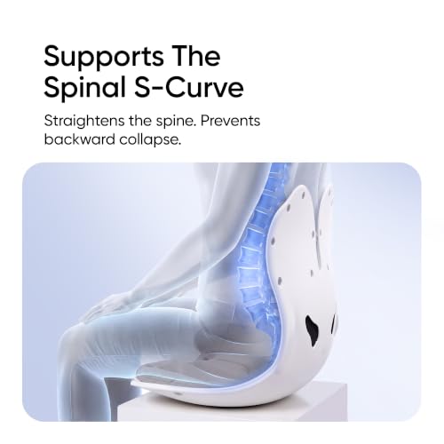 Image of Frido Orthotics Posture Corrector Seat for Back Support, Ergonomic Posture Correction Seat Cushion, Helps Relieve Back & Tailbone Pain, Supports Spine Alignment, Fits Most Chairs, Sofas & Car Seats