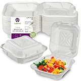 GoBeTree 50 Behälter aus Zuckerrohr 20 cm: Biologisch abbaubare Behälter für Essen zum Mitnehmen - Burger, Reis, Pasta - Behälter mit Deckel.