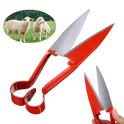 EatingBiting 10" Sheep Shearing Hand Shear Scissors Steel Black Handle Cutters Animal Clipper - Thumbnail 5