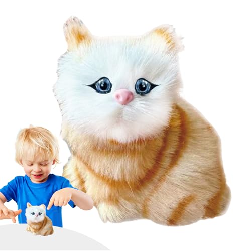 dqL̂ - Lp̃X}[gAI쓮̎ǐՊߋ|[VZT[{bg[O{[A[dȈړqL̗VтAL̂߂̉^G^[eCg