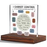 YODOCAMP I Can Control Psychology Student Graduation Gift Clear Acrylic 4.7 x 2.7 Inches Rectangular Tabletop Sign, Modern Inspirational Therapist Office Decor Plaque