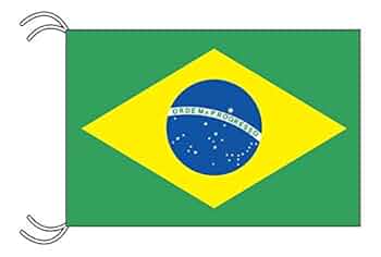 ブラジル　ポンチョ4種類、帽子、ブラジルミニ国旗 🇧🇷ブラジル ポンチョ4種類、帽子、ブラジルミニ国旗の通販 by