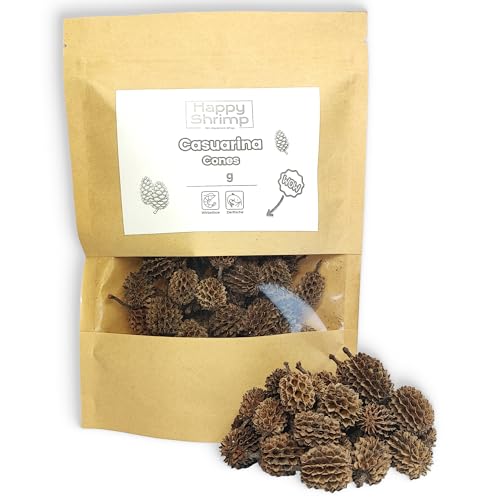 Casuarina Cones 55g / ca. 55 STK. | Natürliche Wasserpflege für Aquarien, Terrarien, Garnelen, Schnecken, Krebse, Welse, Fische UVM. | Schutz vor Bakterien und Pilzen