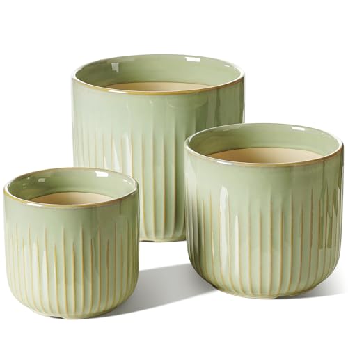 LE TAUCI Macetas, 14+17.5+21 cm Macetas de Cerámica con Agujero de Drenaje, Juego de 3 Maceteros Grandes, Macetas de Interior, Verde Esmaltado