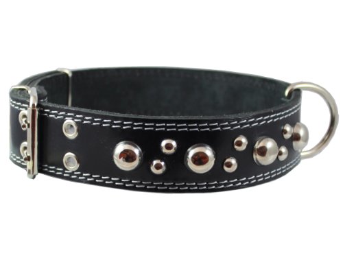 Collier en cuir large pour grand chien type Grand Danois robuste Dogs My Love