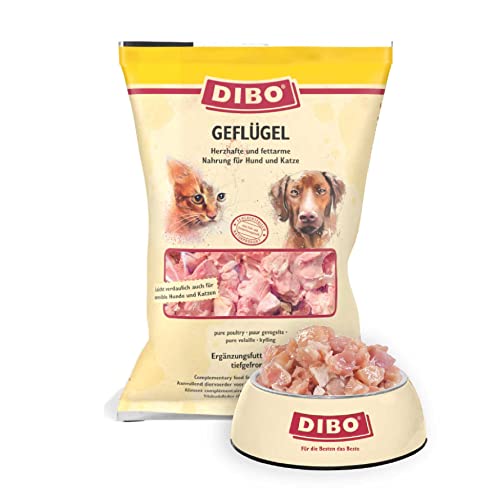 DIBO Geflügel, 3 x 2.000g-Beutel, Tiefkühlfutter, gesunde, natürliche Ernährung für Hunde und Katzen, Barf Fleisch