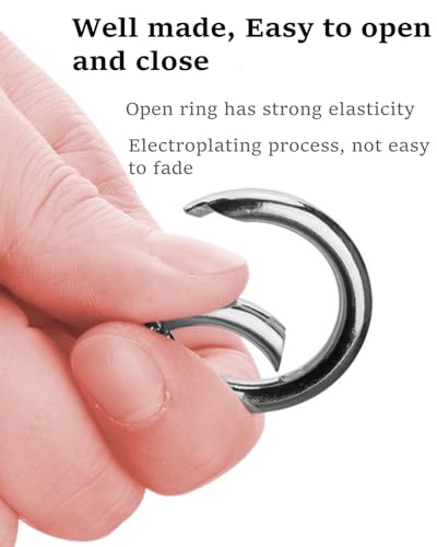 20 Stück Runde Karabiner Schlüsselanhänger, 30mm Schlüsselring Feder-O-Ringe, Spaltring Druckknopf Clip für Schlüsselring Tasche, Geldbörse,Zubehör Karabinerhaken (Silber, 30mm)