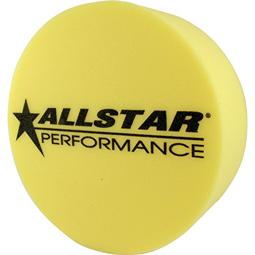 Allstar Performance ALL44154 Foam Mud Plug, 5