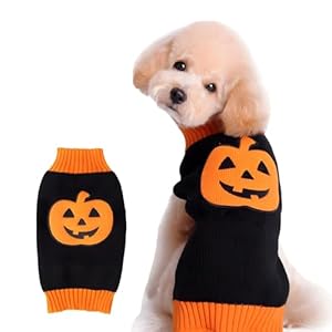 DELIFUR Dog Sweater Pumpkin Pet Costume Halloween Holiday Party for Cat and Puppy (L, Smiling)