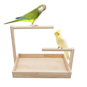 bird perch for tabletop stand