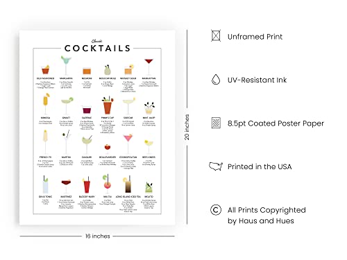 Cocktail Mixology Wall Art Print For Bar - By Haus And Hues | Alcohol Bar Themed Kitchen Home, Office Apartment Wall Decor Home Bar Accessories Unframed/Frameable Poster Wall Decoration (16 X 20) #TOP1