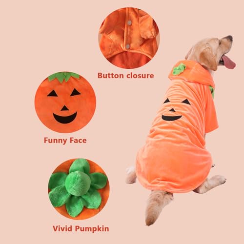Disfraz de Calabaza para Perro Grande 3XL Naranja miniatura 6