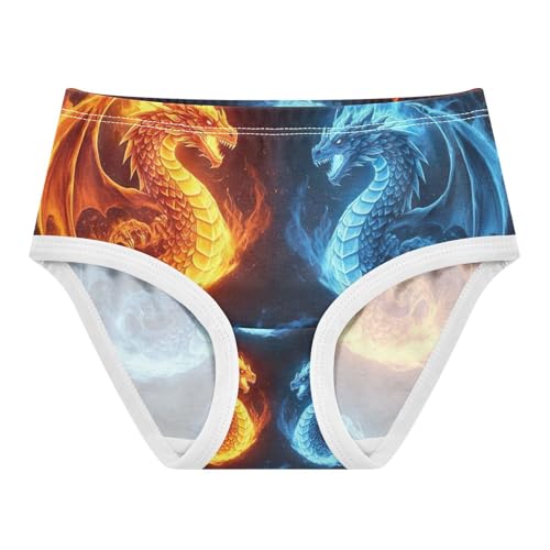 Dragons Fire Ice Underwear Toddler Girl, Kids Underwear, 2T–8 Years