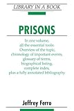 Prisons (Library in a Book)