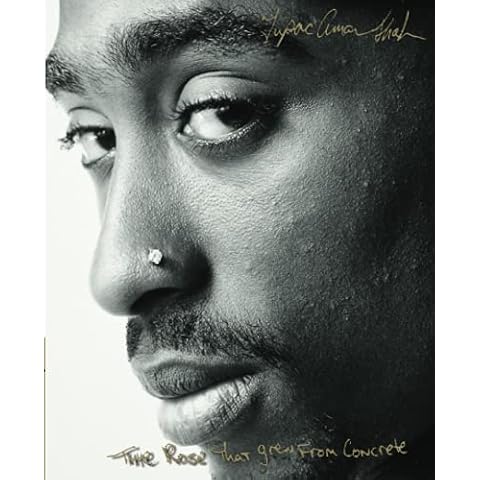 The Rose That Grew From Concrete Cover