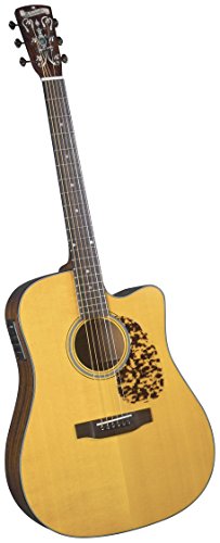 Blue Ridge BR-140CE10 Guitare acoustique Dreadnought - Les Beatles, Paul McCartney, John Lennon, RIngo Starr, George Harrison Blue Ridge BR-140CE10 Guitare acoustique Dreadnought