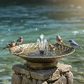 Solar Bird Bath for Outdoors, Metal Solar Bird Bath Fountain, 12.6" Bird Bath Bowl, Bird Water Fountain for Garden Patio Lawn Decor, Gold