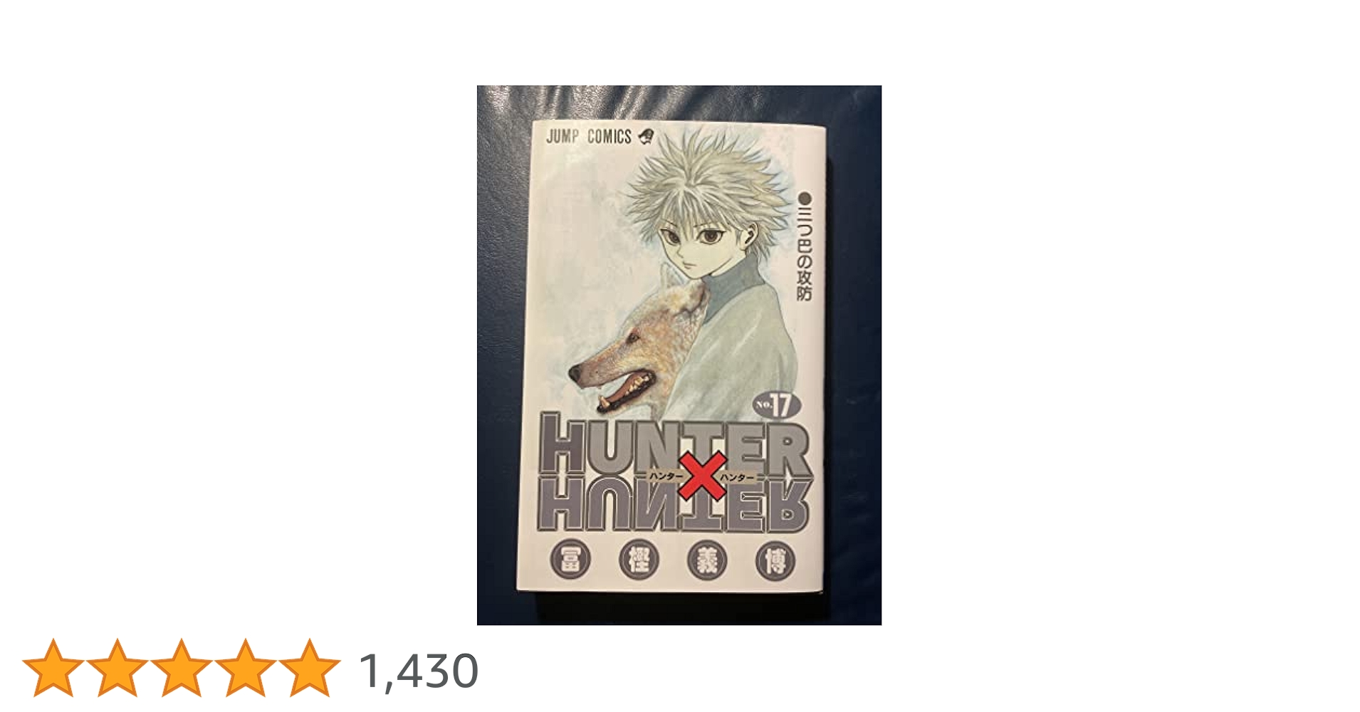 HUNTER X HUNTER17 (ジャンプコミックス) | 冨樫 義博 |本