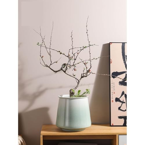 Pot de fleur pot de fleurs vert dégradé grand format extérieur et intérieur en céramique - 5