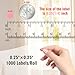 PARLAIM Dot Stickers 1/4 Inch Permanent Color Coding Sticker Label, 1000 PCS Small Round Circle Sticker Dots Labels per Dispenser Box, Pink