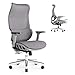 Produktbild JOYFLY Ergonomischer Bürostuhl, Schreibtischstuhl mit Verstellbarer Sitz, Computerstuhl PC-Stuhl mit 3D-Armlehne Kopfstütze, Atmungsaktiver Mesh Office Chair 200kg Erwachsene, Drehstuhl(Grau)