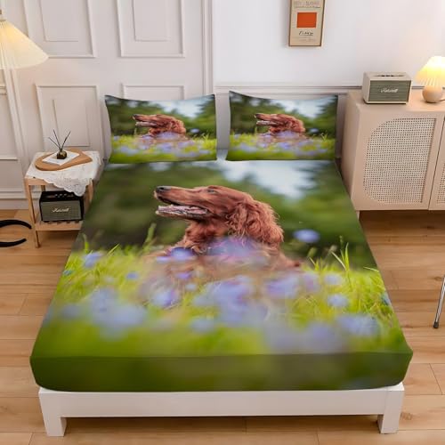 {bNXV[c _u т̗ 􂦂xbhJo[ 140x200x30cm RۖhL}bgXJo[ ȉ |bvȃX^C EȒPzcV[c _炩ʋC QZbgA2 43x63 cm