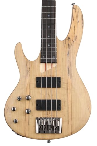ESP LTD B204SM Spalted Maple tgnhf teB  Natural Satin GLM^[ GNgbNM^[ isAj