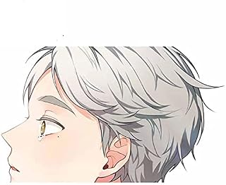 13cmx11.1cm for Sugawara Koushi Haikyuu RV Car Stickers Refrigerator Surfboard Decal Cartoon