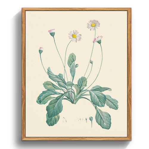 crmotu Botanical Framed Wall Art, Daisy Vintage Decor Pictures, Minimalist Floral Canvas Prints, Still Life Flower Nature Wall Decor, Bathroom Bedroom Above Bed Kitchen Rustic Home Decor, 9x11 inch