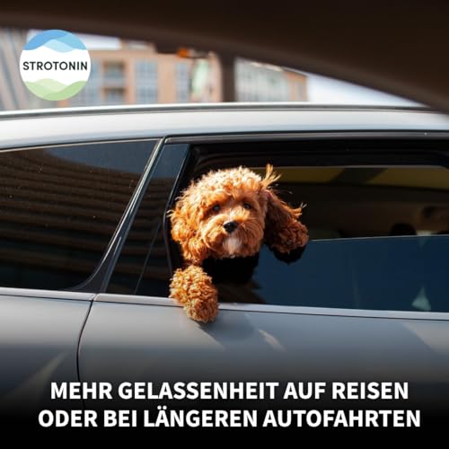 Strotonin Dog Support – Ergänzungsfuttermittel für Hunde, In Stresssituationen wie Autofahrt, Reisen & Alltag, Alternative zu Beruhigungsmittel für Hunde, Baldrian, CBD Öl -Made in Germany - 10 STK