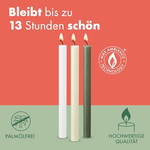 Bougies de table anthracite en cire végétale naturelle Bolsius Rustik - 5