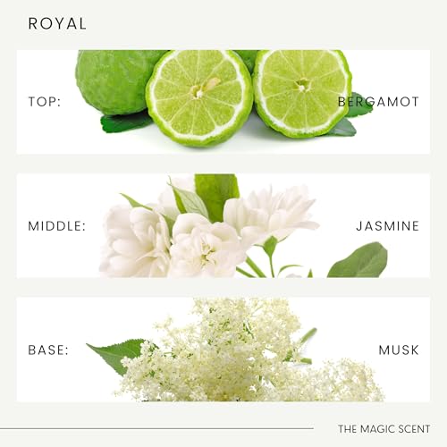 Aceite para difusor The Magic Scent Royal Hotel 250 mL miniatura 6