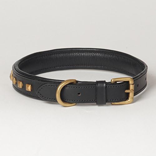 Medium Leather Studded Padded Phantom Dog Collar; Fits 14" - 18" Neck Size