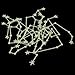 12 Constellation Wall Stickers Murals Luminous Twelve Zodiac Stickers Glow in The Dark Wall Decals Room Home Decor,Home Décor Accents Twelve Constellations Wall Stickers Tools & Home Improvement